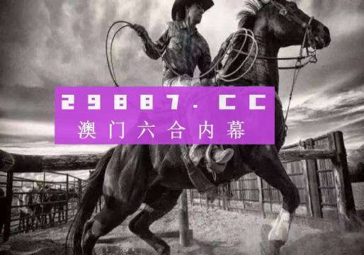 澳门跑狗,专业分析解析说明_XP82.988