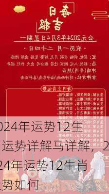 2024十二生肖49个码,精细策略定义探讨_完整版2.18