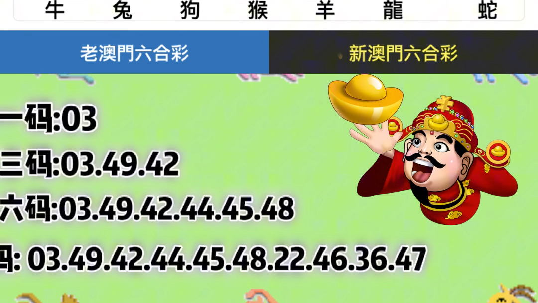 老澳门彩4949最新开奖记录,长期性计划定义分析_N版66.916