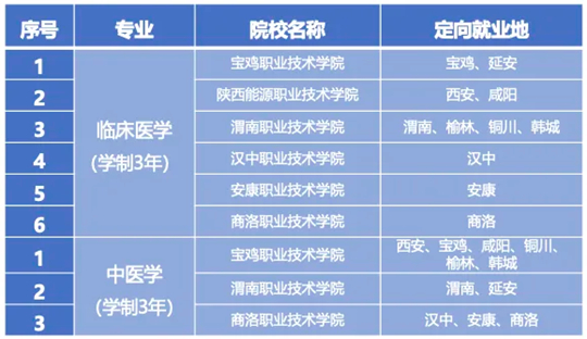 2024正版资料免费大全,全面理解执行计划_The89.967