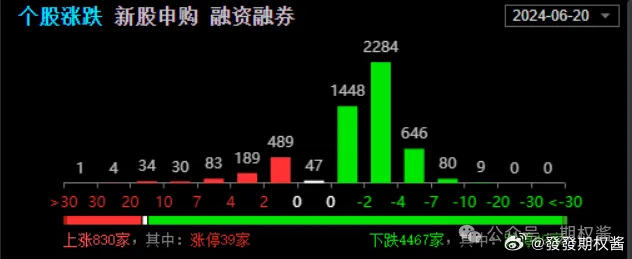 一肖一码一中一特,数据执行驱动决策_轻量版24.687