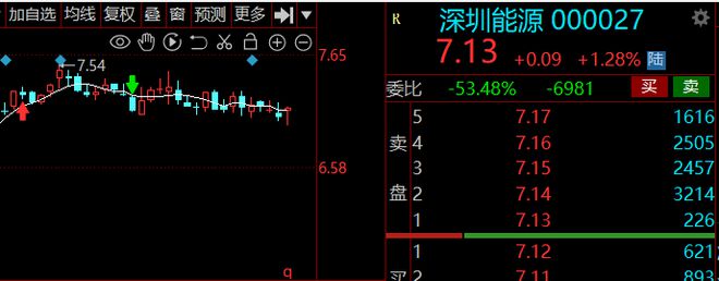 新奥天天免费资料大全,专家观点说明_Plus55.79