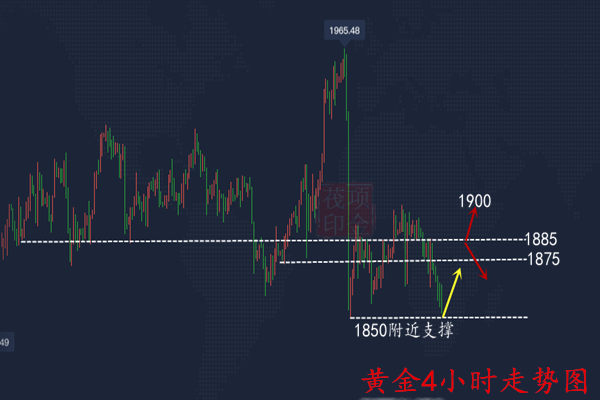 今天晚上的澳门特马,全面数据策略实施_P版40.723