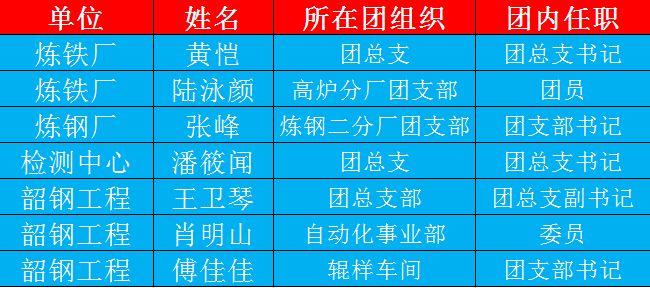 2024年澳彩综合资料大全,功能性操作方案制定_限定版81.356