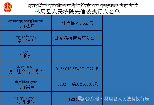 2024新澳正版免费资料的特点,实践数据解释定义_特供版25.140