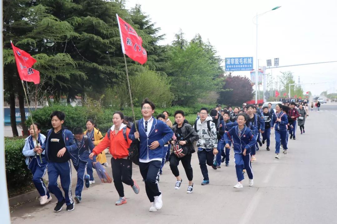 恐龙探秘下载，追寻史前巨兽的神秘之旅