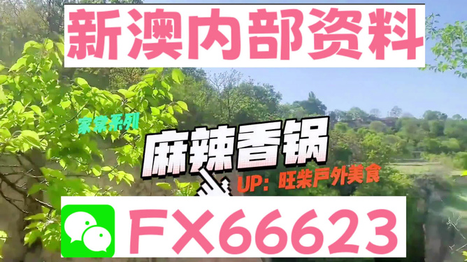 新澳精准资料大全,深入解析设计数据_安卓版86.641