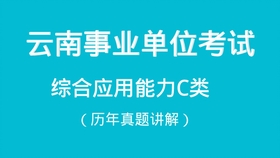 正版资料综合资料,重要性解释落实方法_eShop80.688