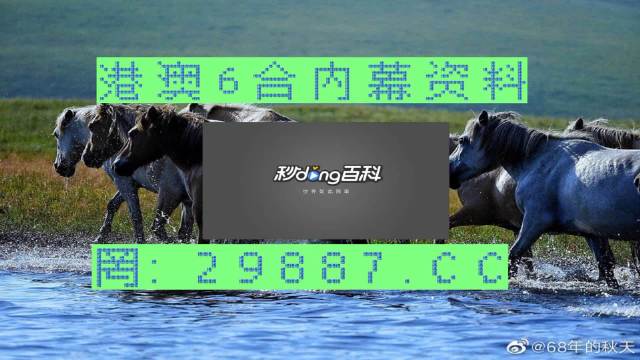 2024澳门买马最准网站,科技评估解析说明_入门版61.779