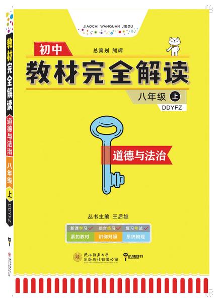 管家婆204年资料正版大全,实地解读说明_薄荷版22.210